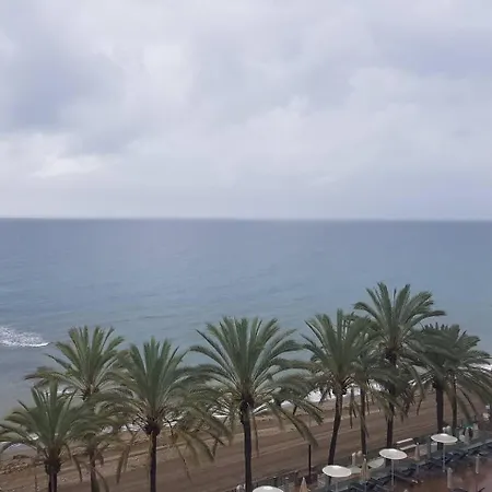 Palm דירה