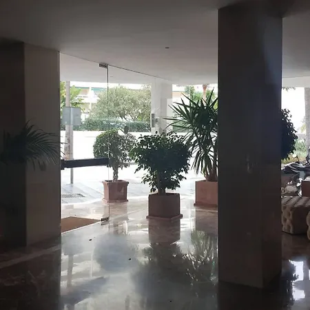 Palm * 마르베야