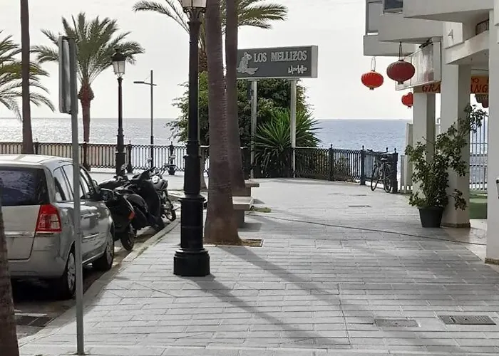 Palm Marbellac