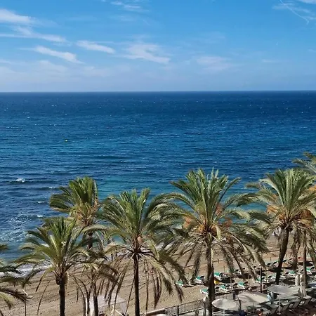 Palm * Marbellac